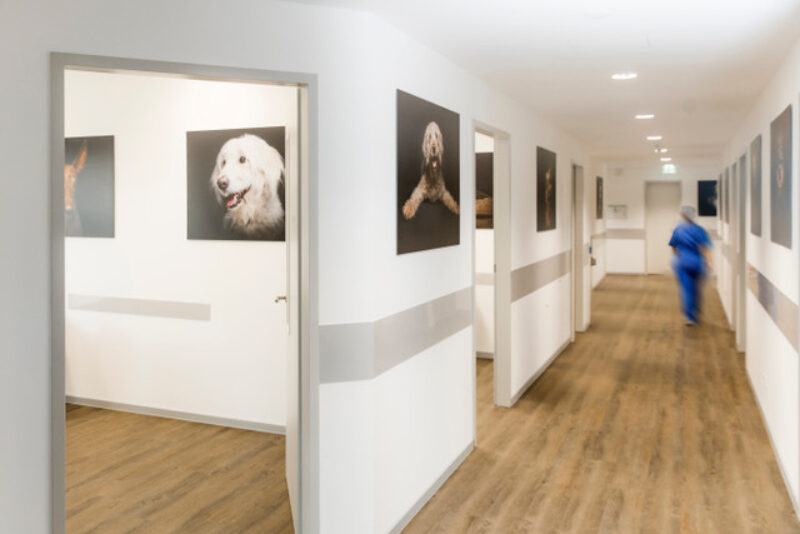 005 TKO Bajuwarenring 12a