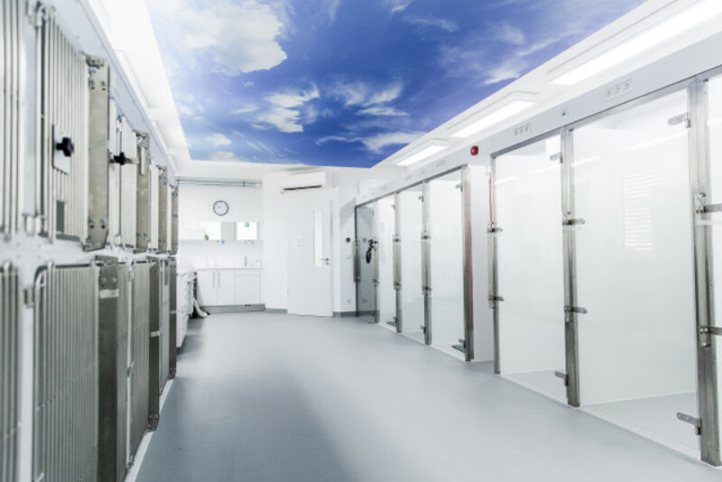 010 Hundeaufwachstation