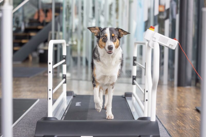 Bildschirmfoto 2026 04 03 um 17 27 39