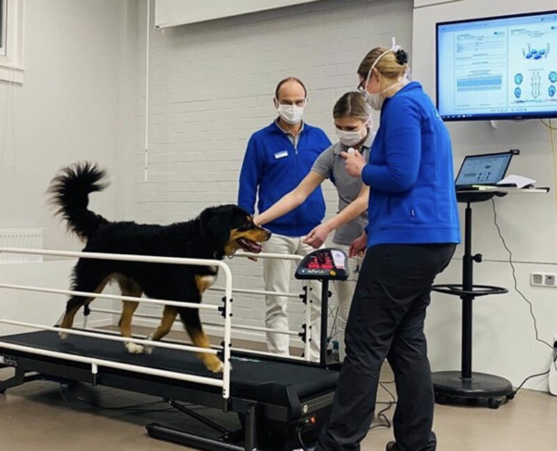 Bildschirmfoto 2026 04 03 um 17 30 04