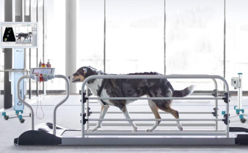 Bildschirmfoto 2026 04 03 um 17 33 03