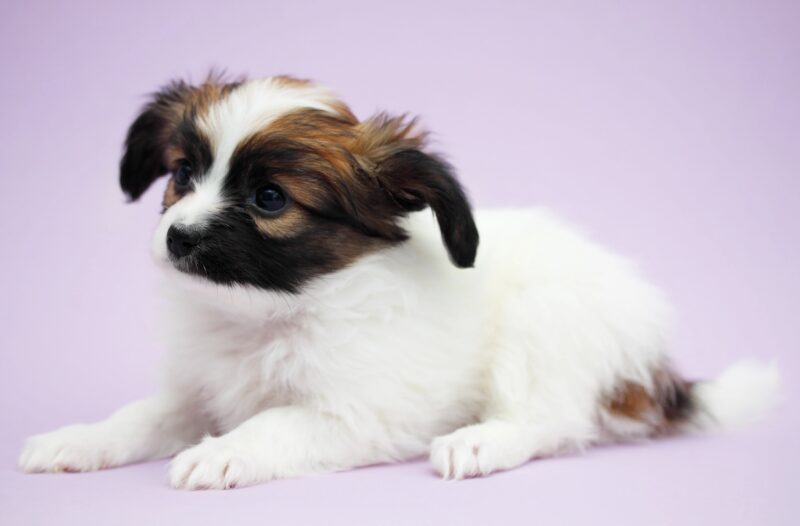 Bildschirmfoto 2026 04 11 um 12 38 39