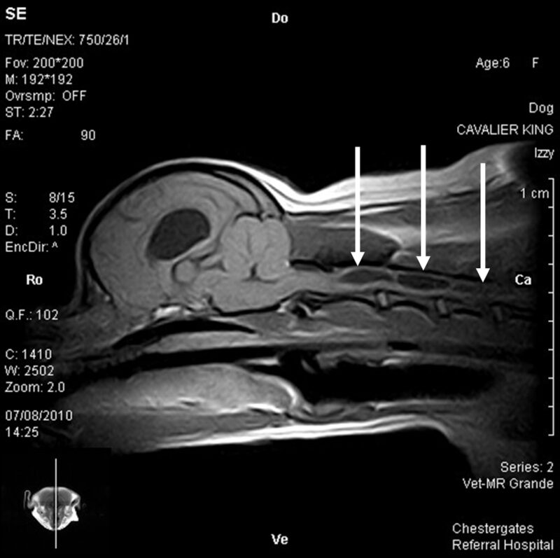 Bildschirmfoto 2026 04 11 um 12 44 29