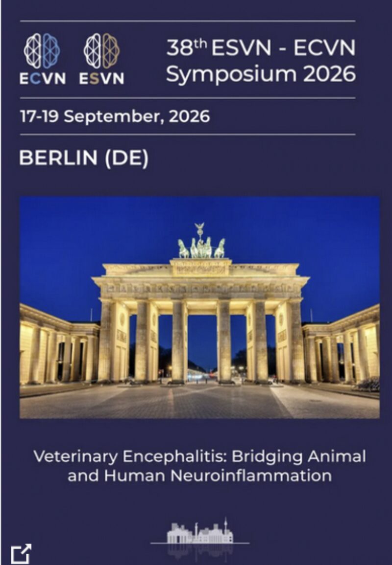 Bildschirmfoto 2026 04 11 um 13 17 01