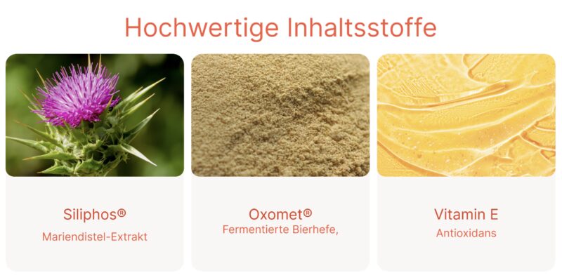 Bildschirmfoto 2026 04 16 um 15 28 52