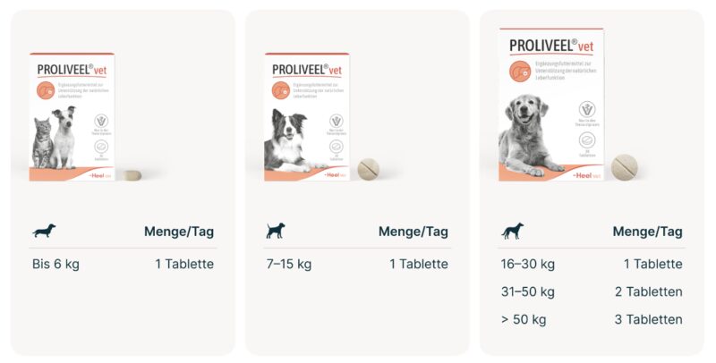 Bildschirmfoto 2026 04 16 um 15 35 00