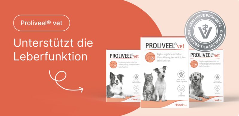 Bildschirmfoto 2026 04 16 um 15 38 48