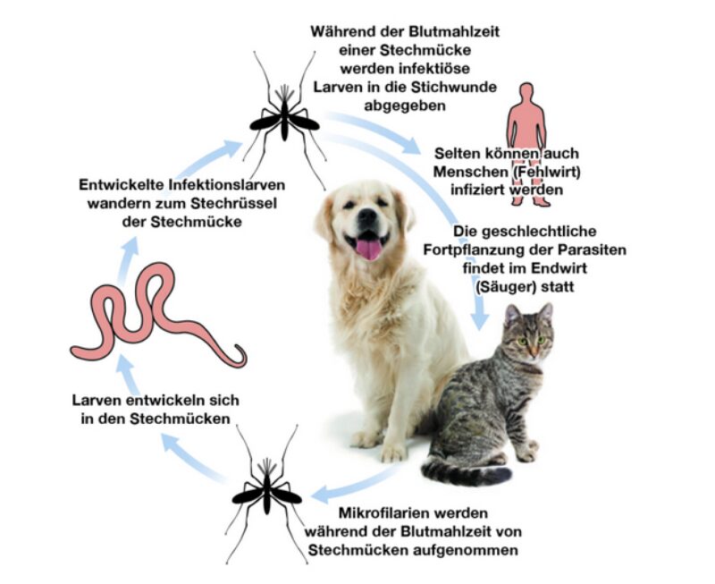 Bildschirmfoto 2026 04 16 um 16 27 09