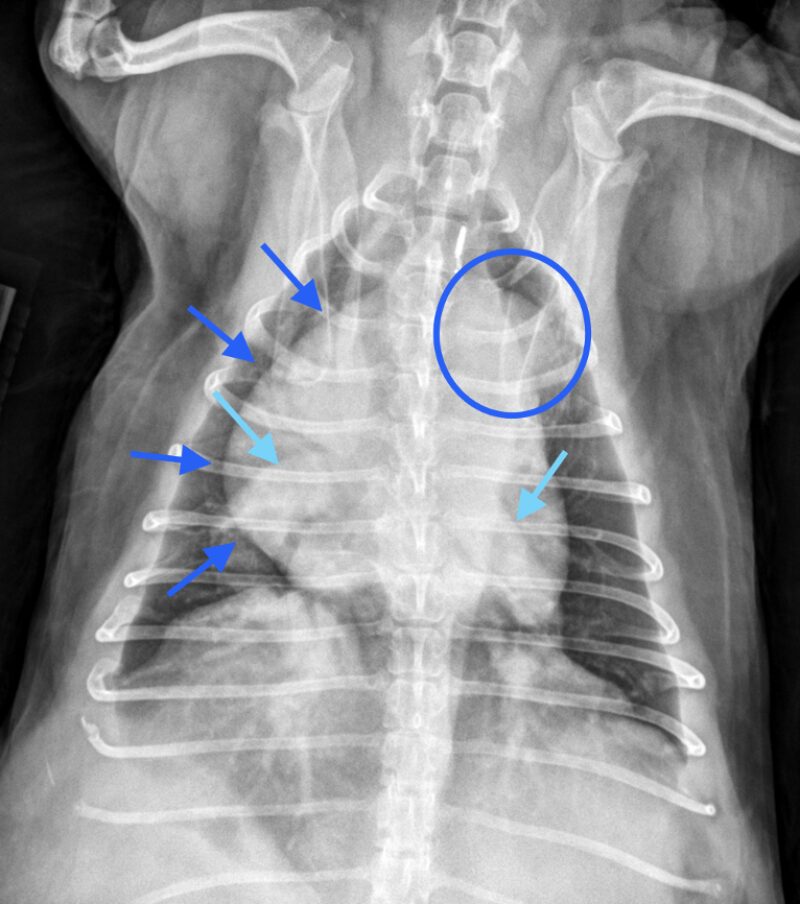 Bildschirmfoto 2026 04 16 um 18 12 19