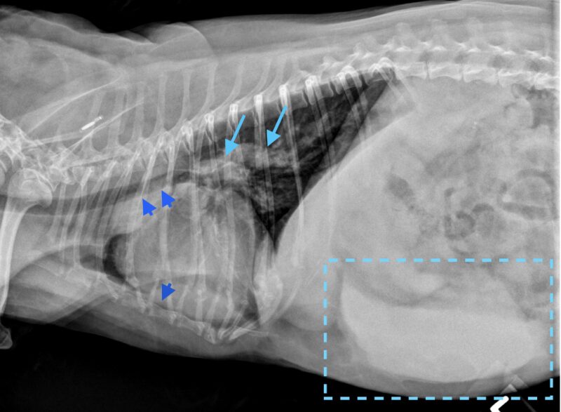 Bildschirmfoto 2026 04 16 um 18 14 05