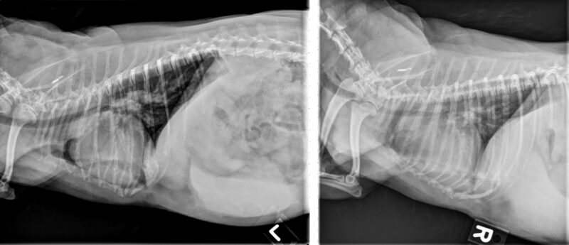 Bildschirmfoto 2026 04 16 um 18 35 03