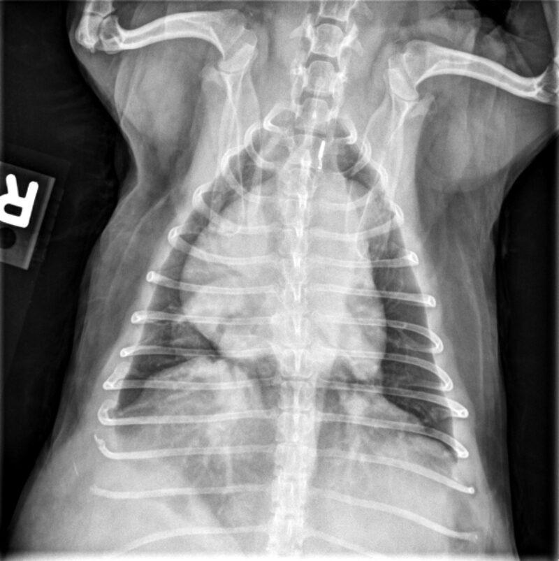 Bildschirmfoto 2026 04 16 um 18 35 13