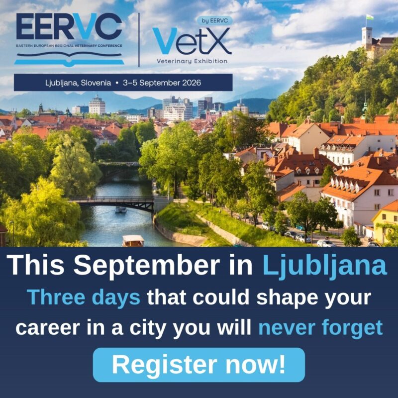 651171535 934793032583789 5444287828377787794 n