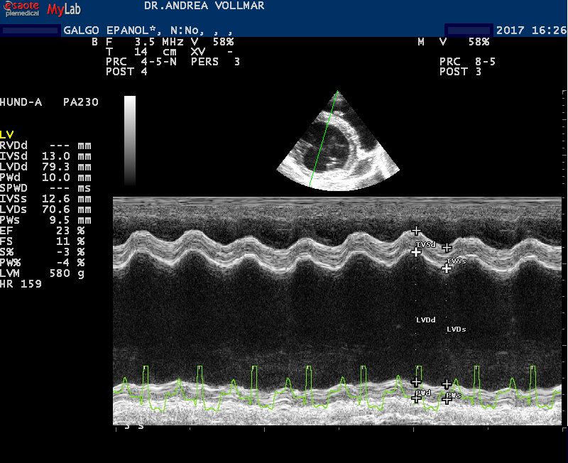 Abb 5 GALGO EPANOL DCM