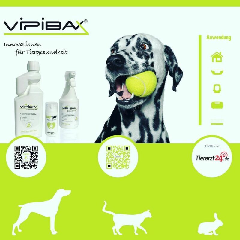 66359453 2228468573936328 5417733263990980608 o