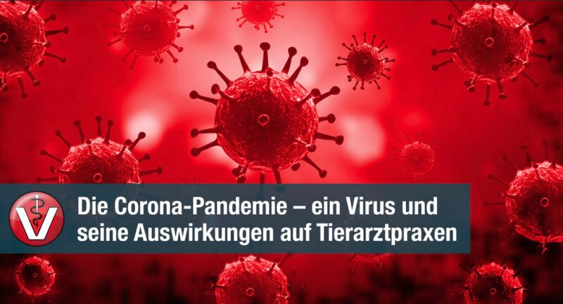 Bildschirmfoto 2020 04 29 um 18 53 59