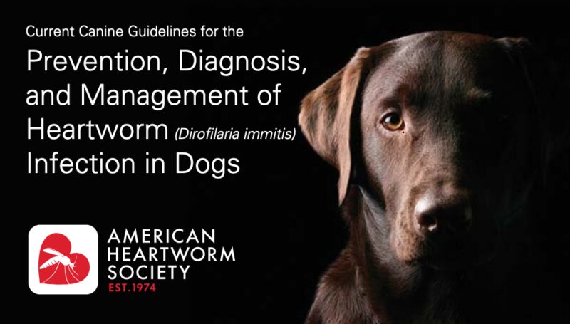 Bildschirmfoto 2020 05 20 um 12 13 00