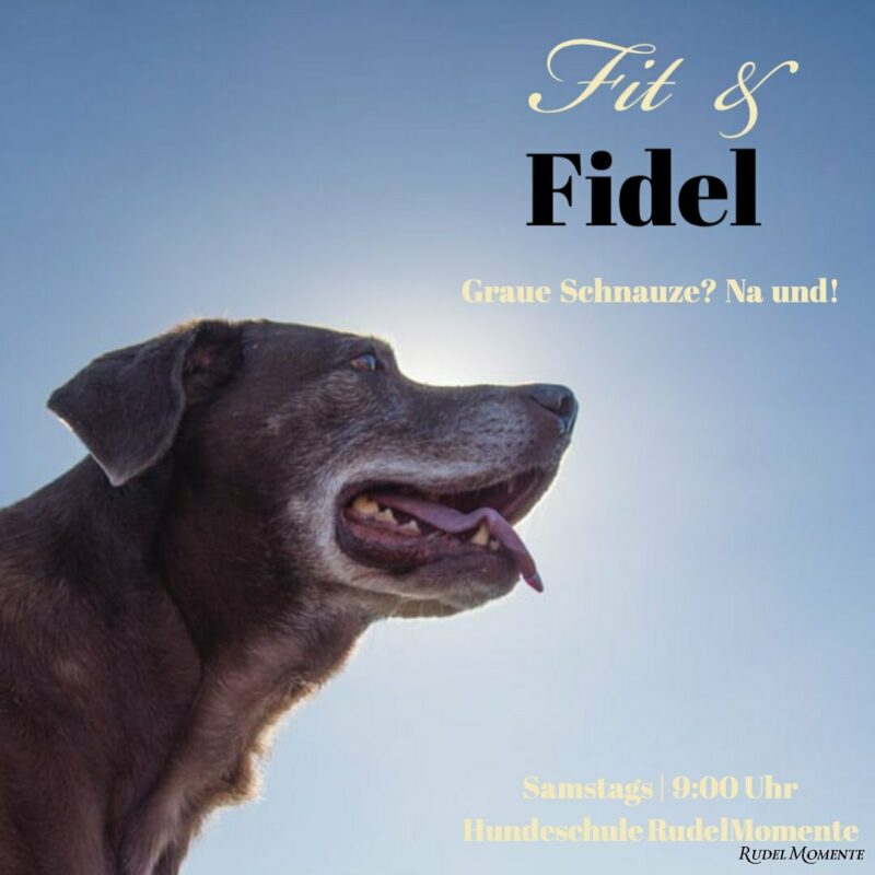 82862255 575780713377008 3659210559419935103 o