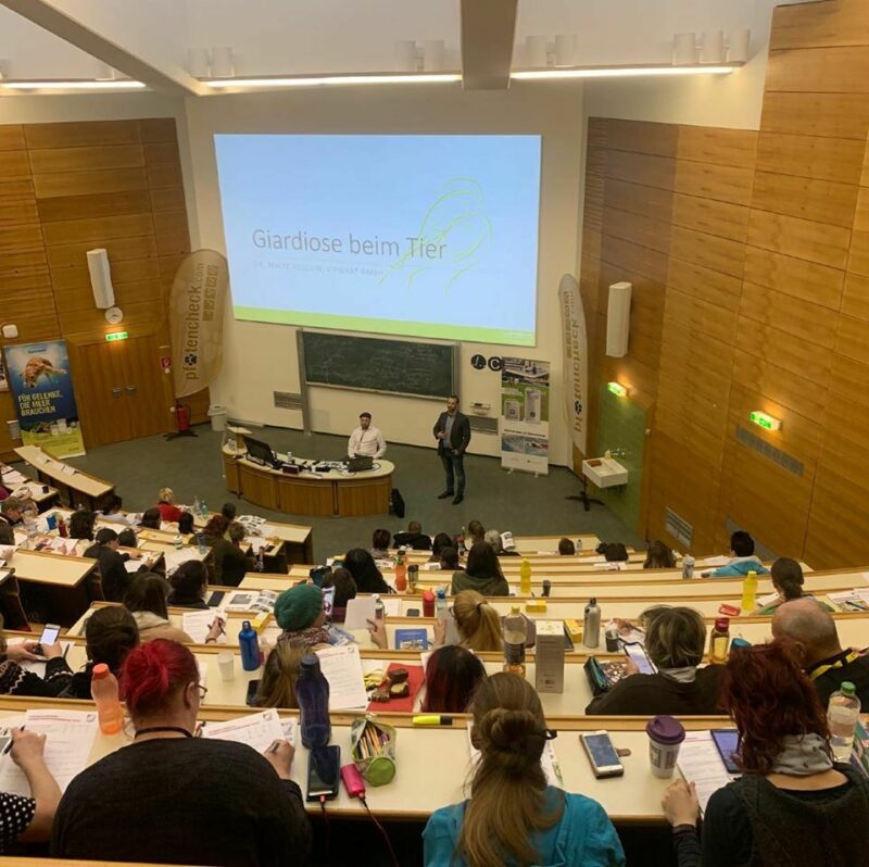 85191176 2691429267640254 5970811664579166208 o