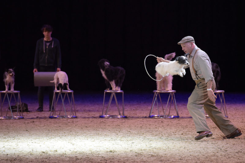 Doglive Gala Lauenburger