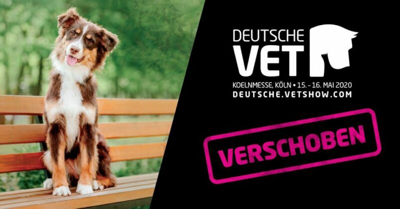 93695762 1523338121169083 6768672681001746432 o