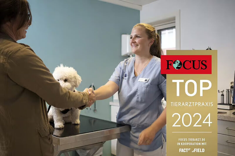 Ani Cura Karlsruhe Focus 2024