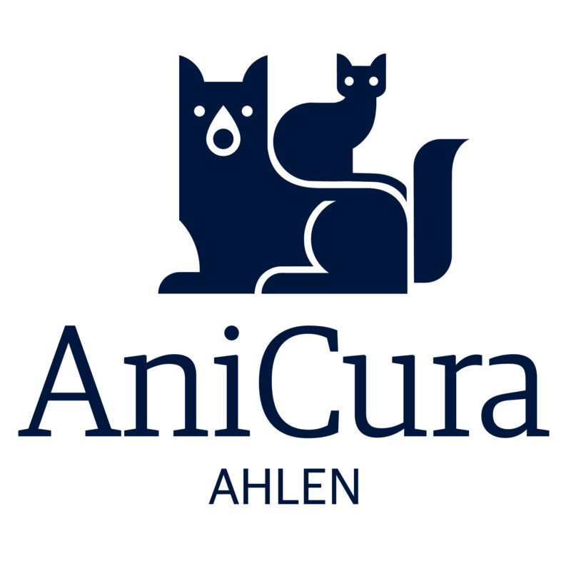 Ani Cura Ahlen Vertical cmyk