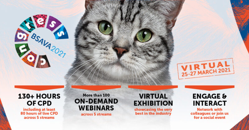 BSAVA2021 banner fb 1200x630