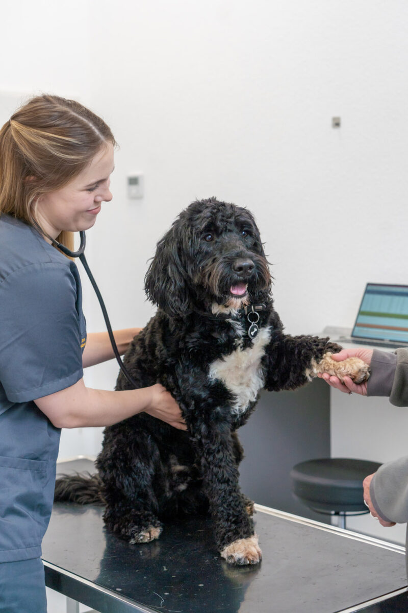 Behandlungsraum Praxis Bouassiba