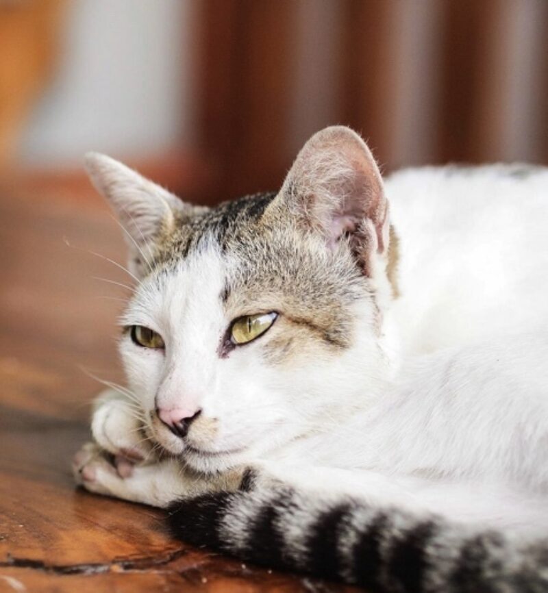 Bild 18 05 22 um 07 49