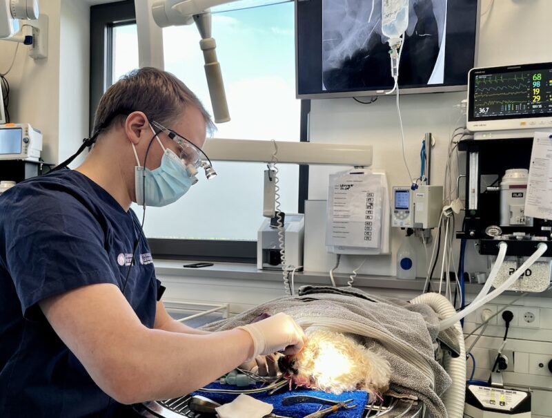 Bildschirmfoto 2023 10 27 um 10 16 45