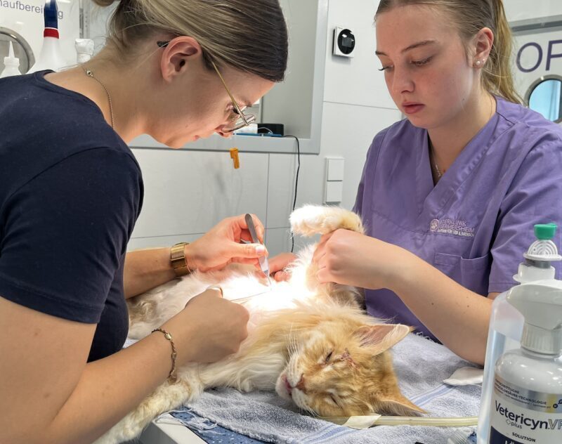 Bildschirmfoto 2023 10 27 um 10 17 00