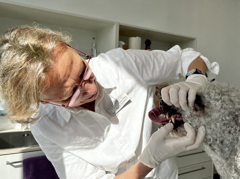 Bildschirmfoto 2023 10 27 um 10 17 34