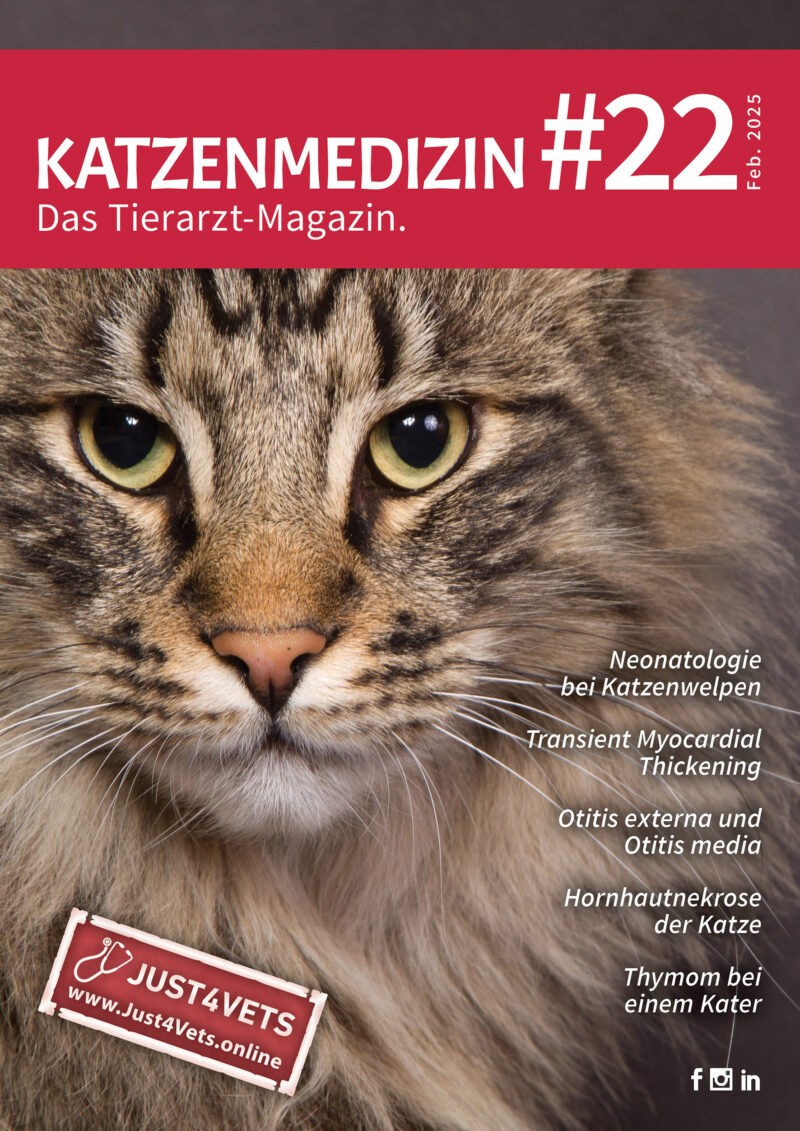 CATS 22 Titel