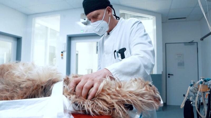 Carsten grussendorf38