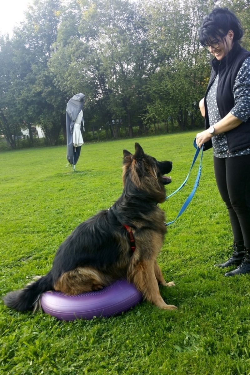 Cavaletti 09 2017 07