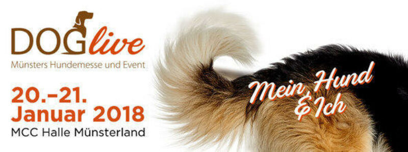 Doglive Keyvisual Neu