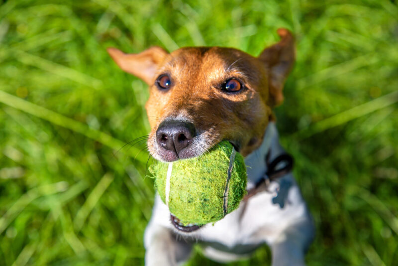 Depositphotos 395259186 S