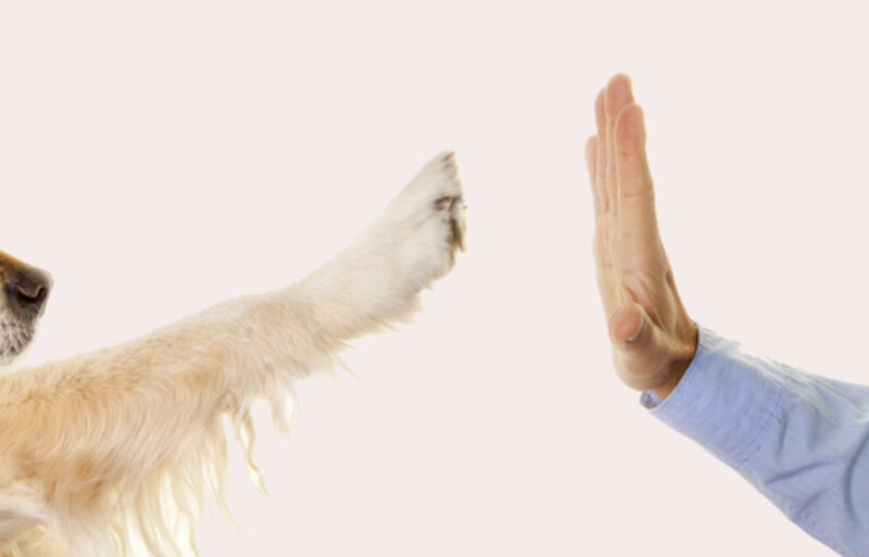 Existenzgruendung 85d4502b92148a7ge68c2ee5b0a938dd