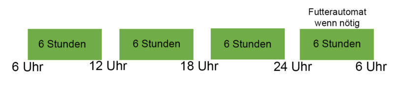 Futterungszeitpunkt 4 Mal