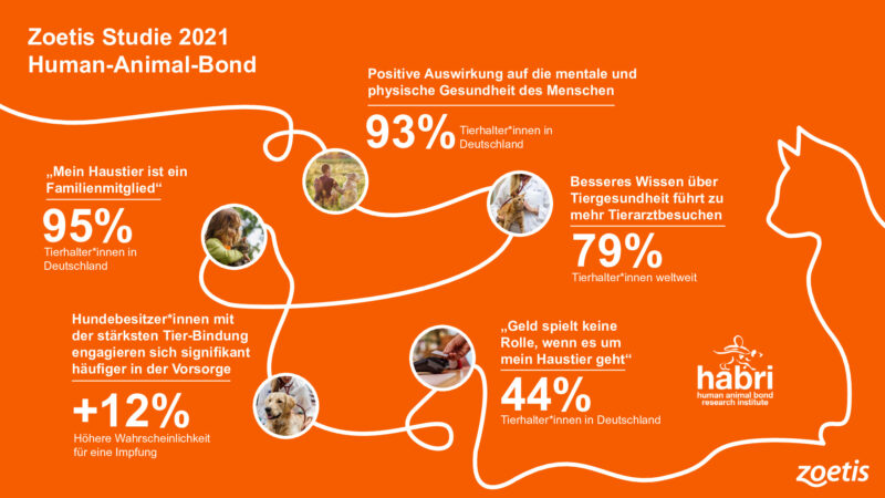 Human Animal Bond Studie Infografik