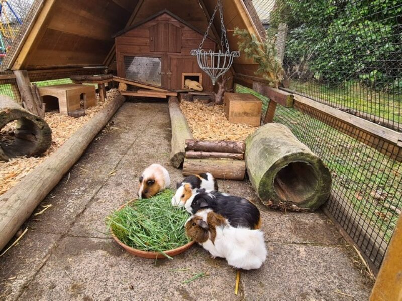 IMG 20220317 WA00031672856461188 2