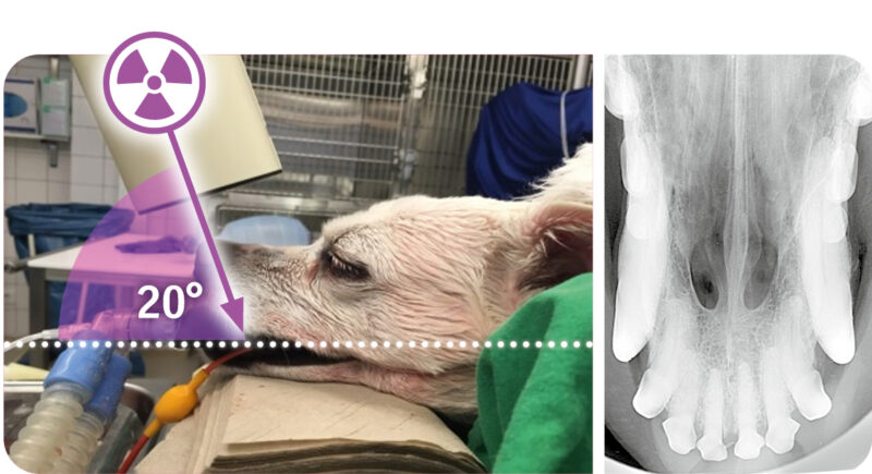 Intraorale Roent tech 3