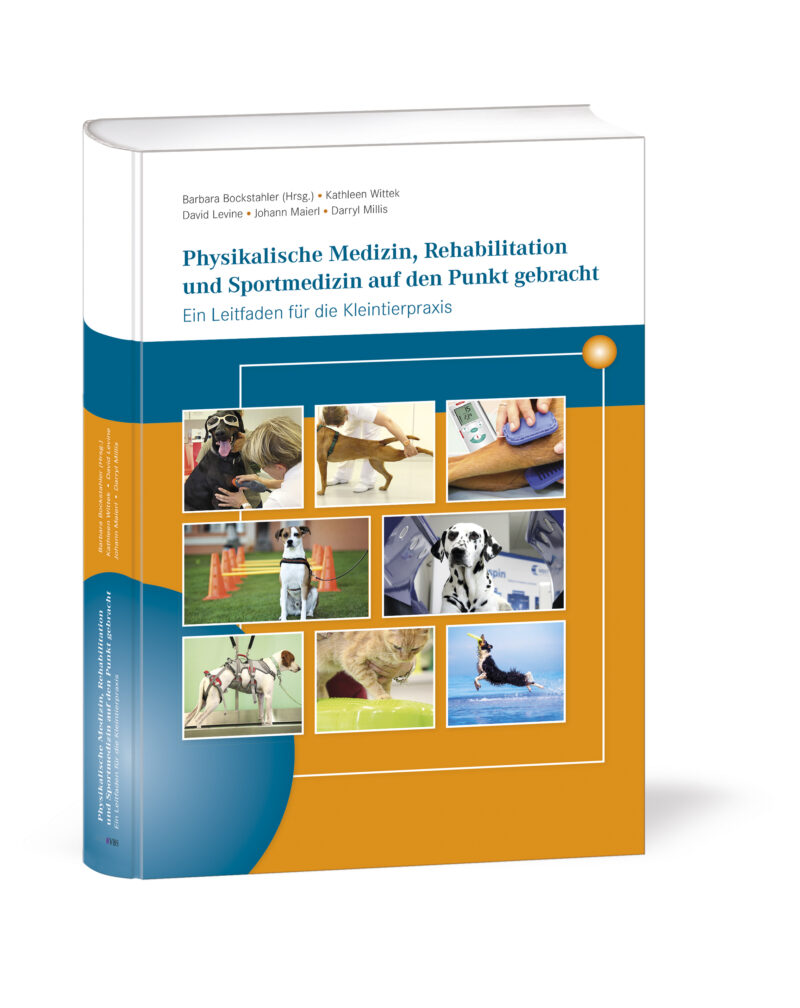 Montage Physiobuch 2019 dt RGB