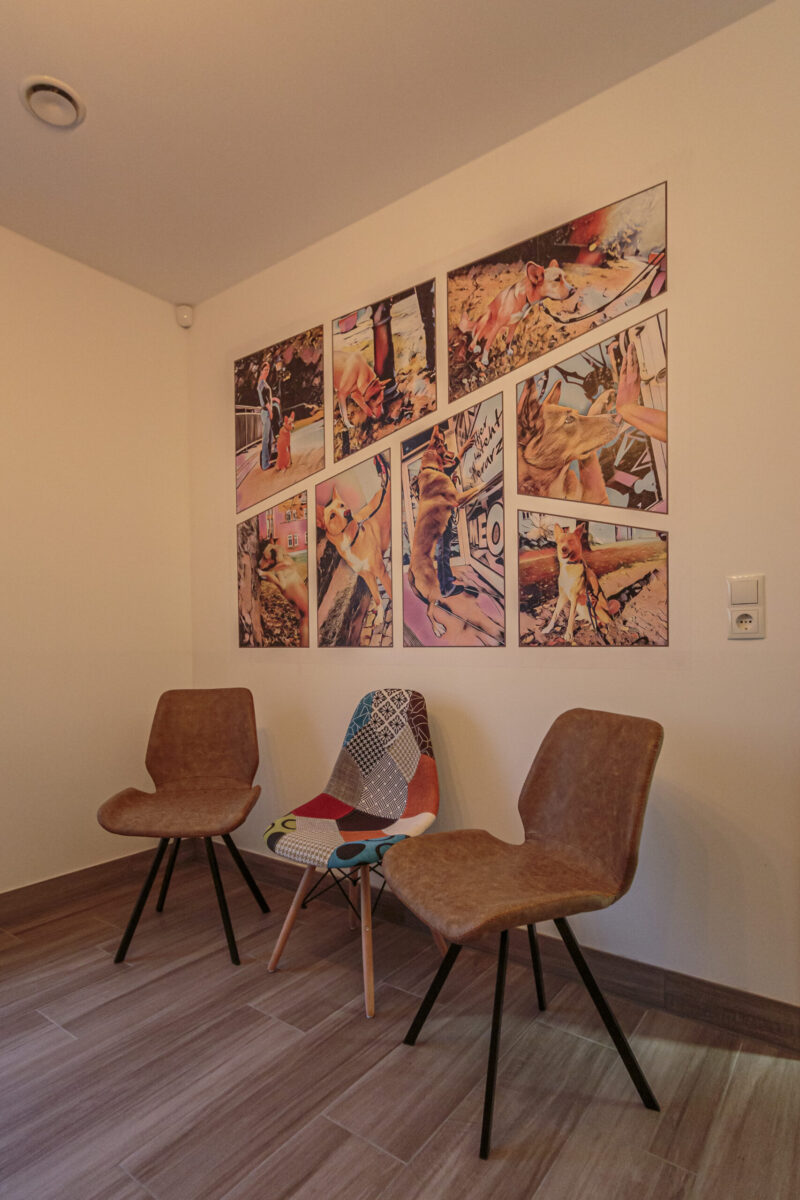 O7 B4917 Kopie scaled