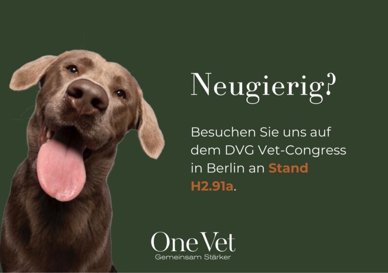 One Vet Ad Hunderunden 32