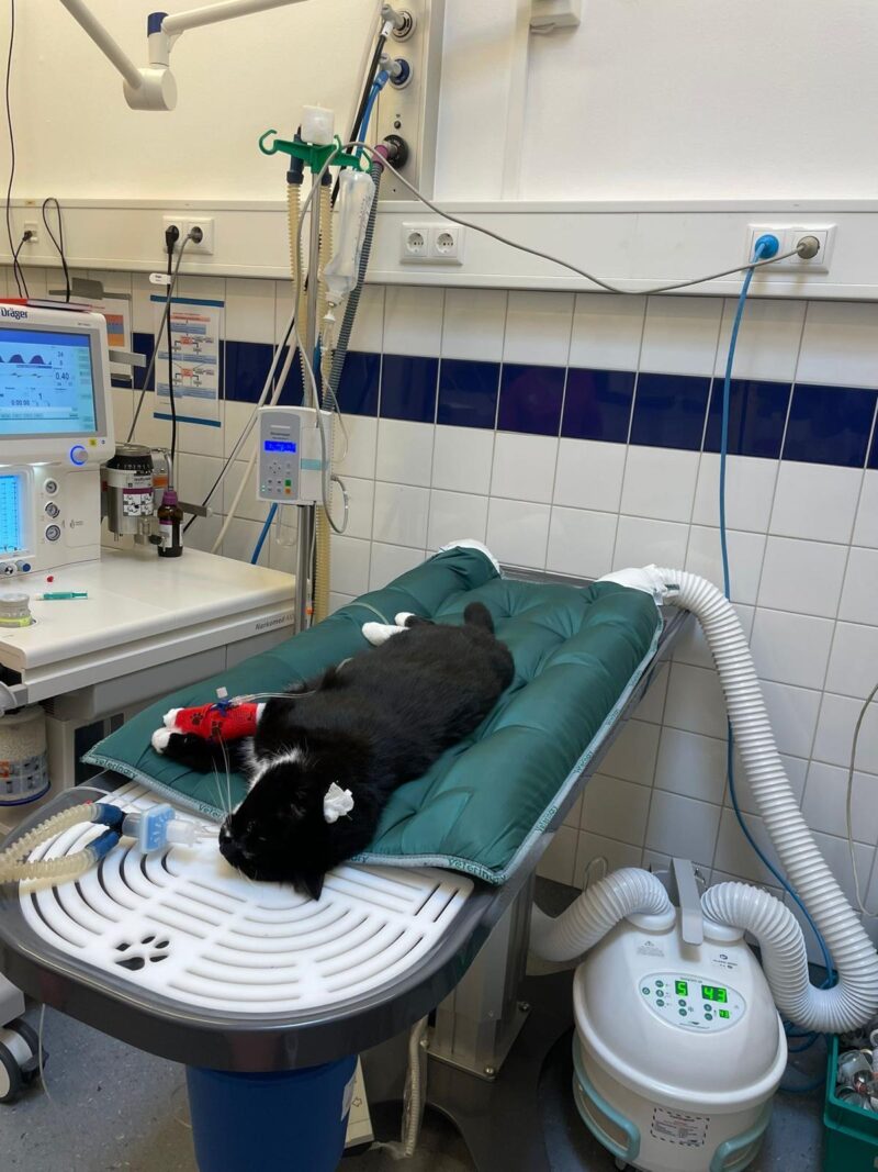 PHOTO 2025 09 18 12 34 28