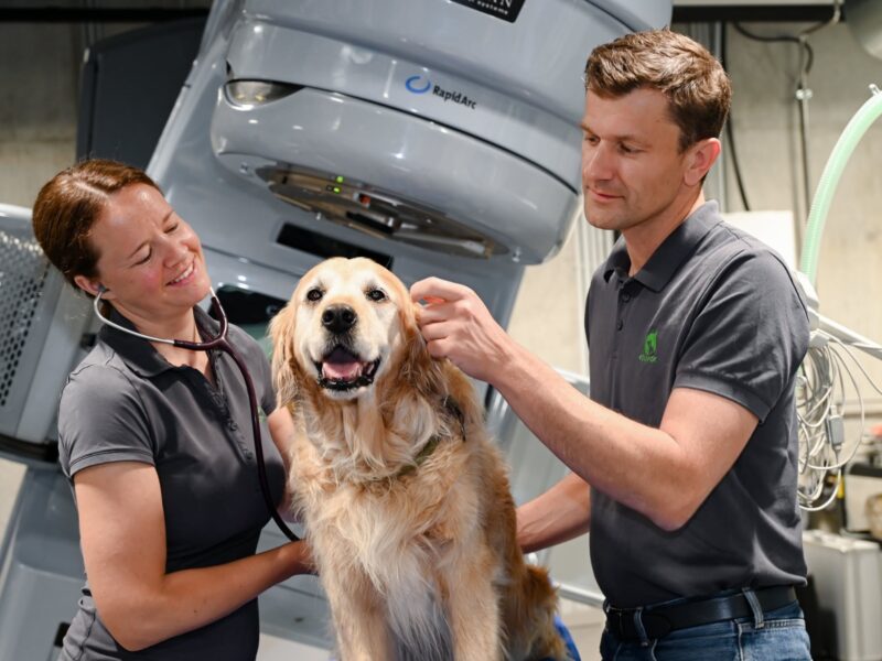 PHOTO 2025 09 19 10 23 01