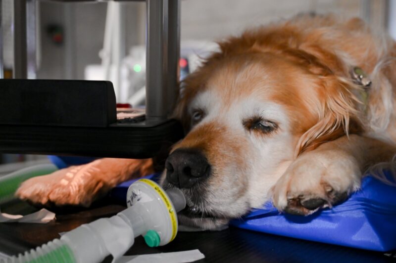 PHOTO 2025 09 19 10 23 29