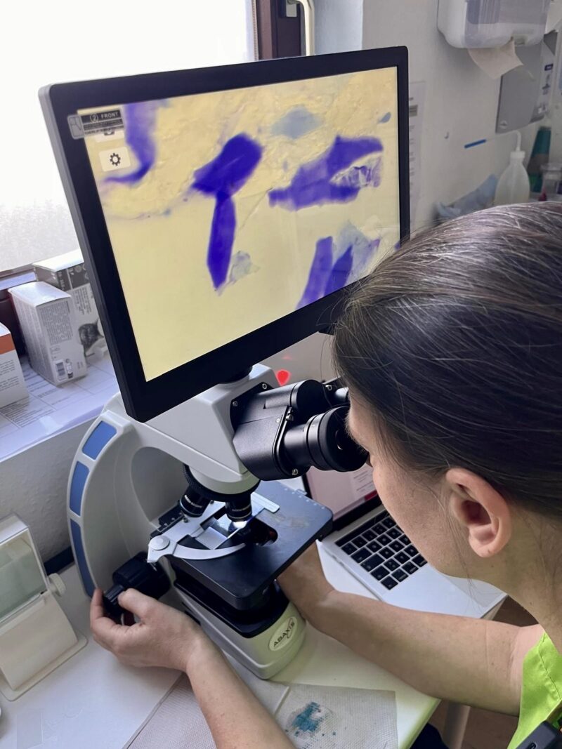 PHOTO 2026 03 08 11 13 37